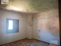 Foto31