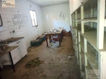 Foto36