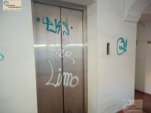 Foto6