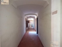 Foto7