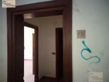 Foto8