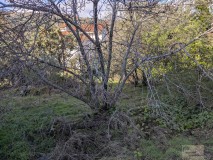 Foto5
