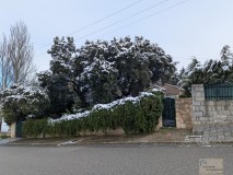 Foto3