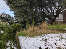 Foto4
