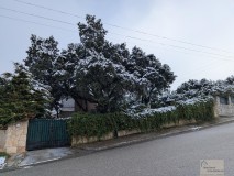 Foto2