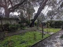 Foto13