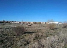 Foto1
