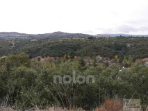 Foto9
