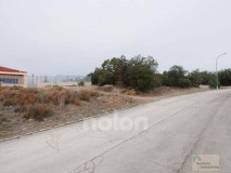 Foto10