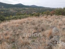Foto7