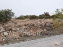 Foto8