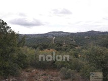 Foto6