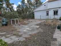 Foto8