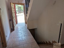 Foto12