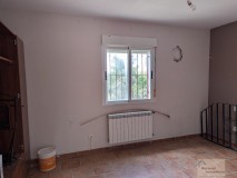 Foto19