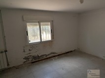 Foto33