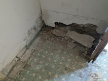 Foto9