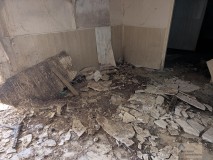 Foto8