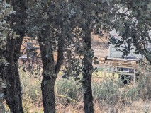 Foto4