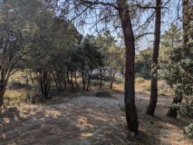 Foto2