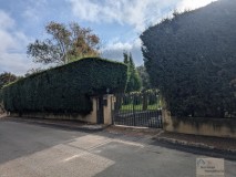 Foto4