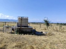 Foto3