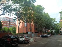 Foto1