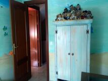 Foto8