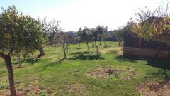 Foto8