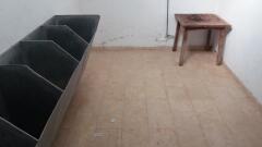 Foto17