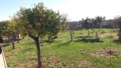 Foto33