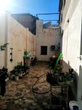 Foto6