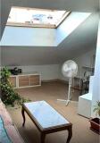 Foto3