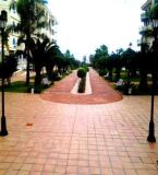 Foto7