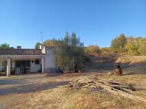 Foto3