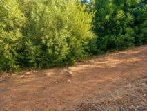 Foto5