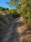 Foto9