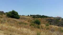 Foto3