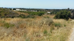 Foto5