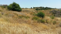 Foto6