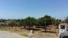 Foto7