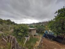 Foto9