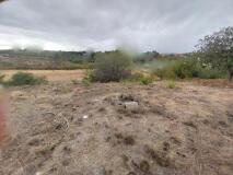 Foto9