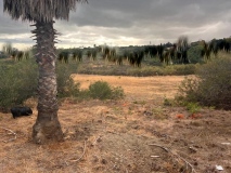 Foto13