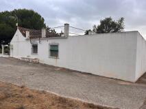 Foto19