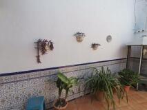 Foto10