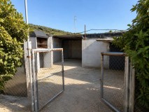 Foto14