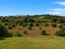 Foto17
