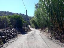Foto12