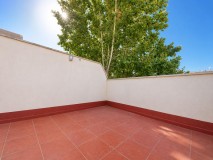 Foto8